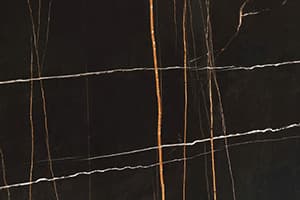 SAHARA NOIR