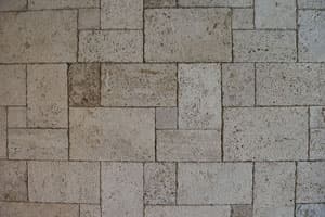 FRENCH PATTERN
