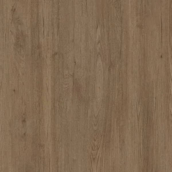 JUNGLA IROKO