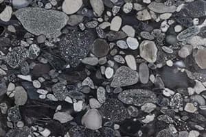 MARINACE BLACK